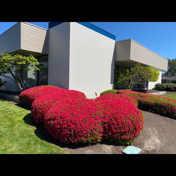 Meet your Posher, James - Picture 1 of 1